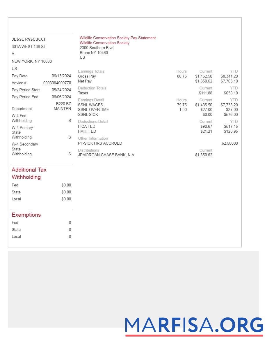 Realistic Wildlife Conservation Society pay statement sample